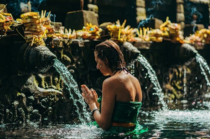 Ubud Private Tour: Tegalalang Rice Terraces, Bali Swing & Monkey Forest Day Trip photo 4