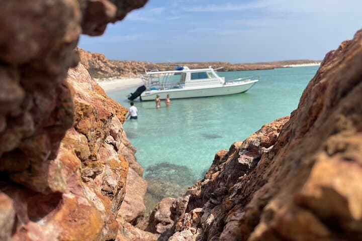 Daymaniat Islands Snorkeling: Coral Gardens, Turtles & Coastal Views photo 1