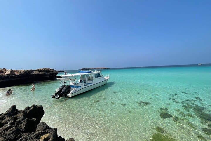 Daymaniat Islands Snorkeling: Coral Gardens, Turtles & Coastal Views photo 2