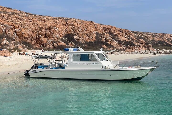 Daymaniat Islands Snorkeling: Coral Gardens, Turtles & Coastal Views photo 4