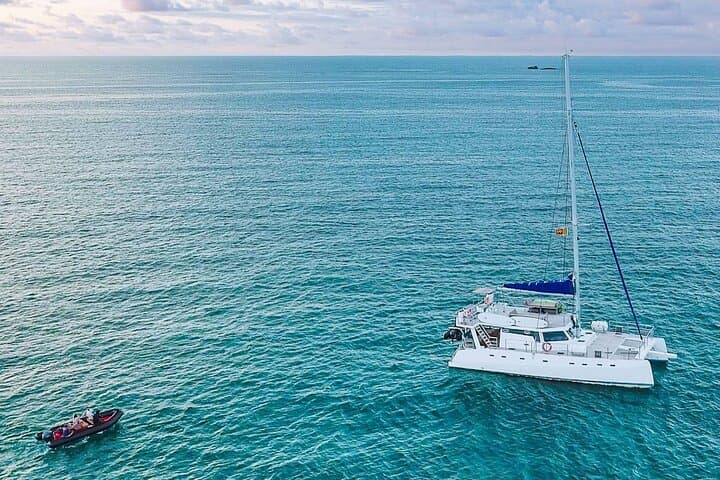 Mirissa Catamaran Whale Watching: Full-Day Blue Whale & Dolphin Cruise photo 5