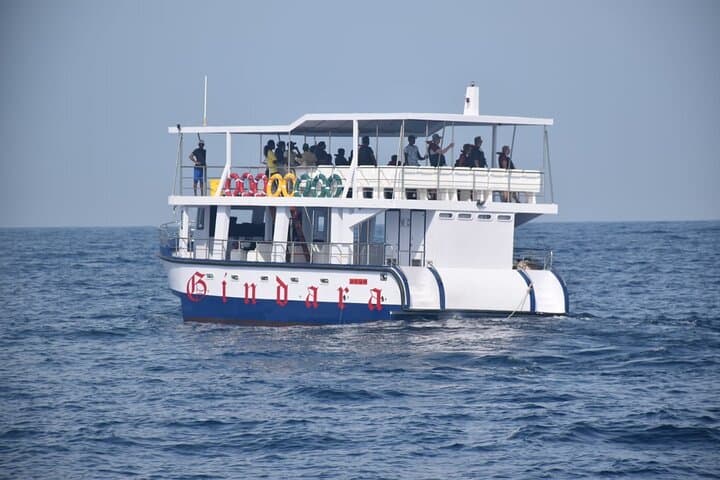 Whale Watching from Bentota: Blue Whale & Dolphin Safari with Breakfast & Transfers photo 2