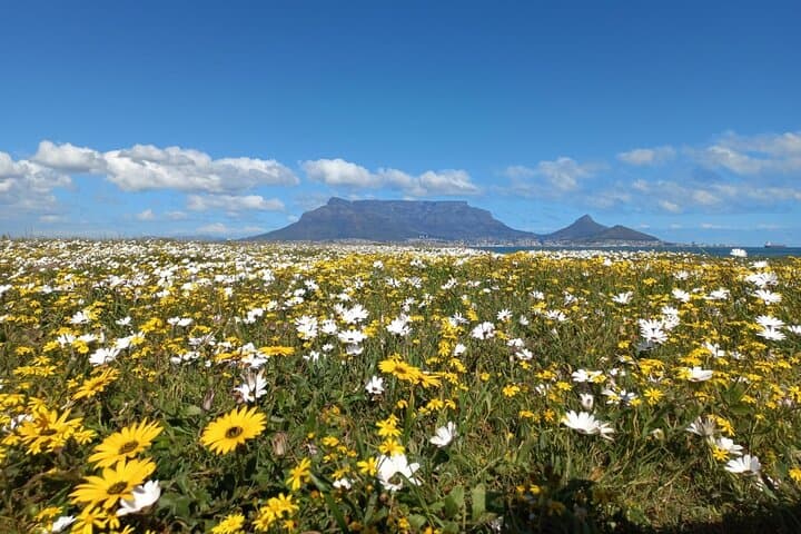 Cape Town Hidden-Gems Full-Day Private Photo Tour (Free Photos) photo 1