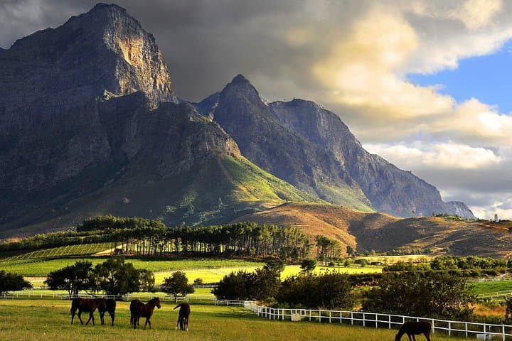 Cape Town Hidden-Gems Full-Day Private Photo Tour (Free Photos) photo 2