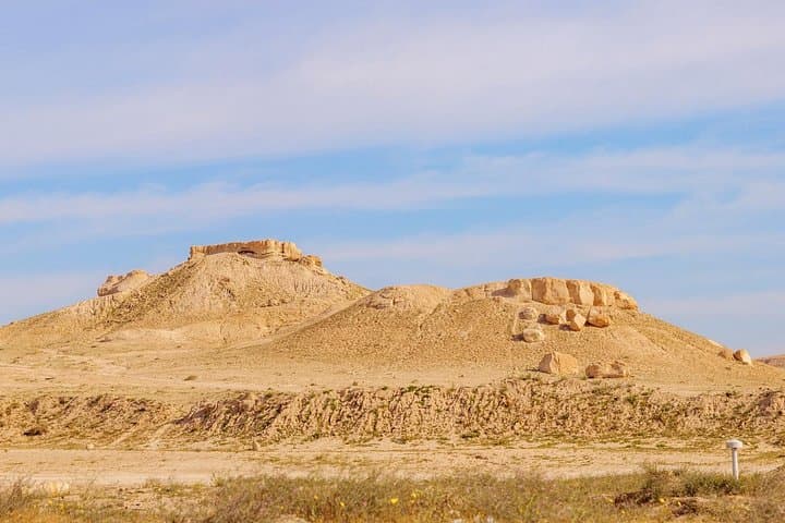 Private Border Farms and Desert Tour — Blue Lake Farm & Kuwait Desert Experience photo 2