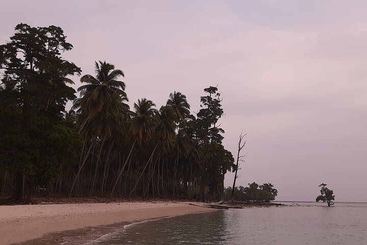 Offbeat 6-Day Walking Holiday in South and Middle Andamans photo 3