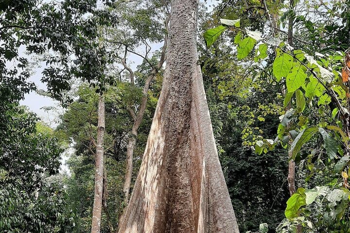 Offbeat 6-Day Walking Holiday in South and Middle Andamans photo 4