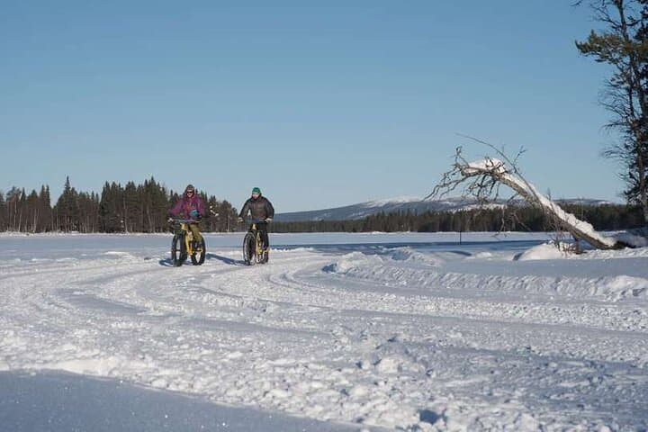 Fat-Biking Along the Vindelälven: 9 km Fatbike Experience in Sorsele