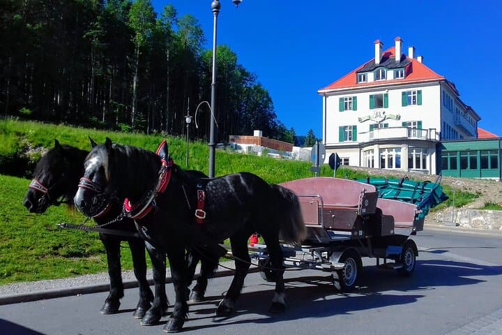 Munich to Neuschwanstein & Zugspitze: Skip-the-Line Private Deluxe Tour photo 4