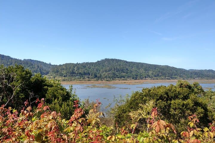 Self-Guided Driving Audio Tour of Point Reyes National Seashore photo 6