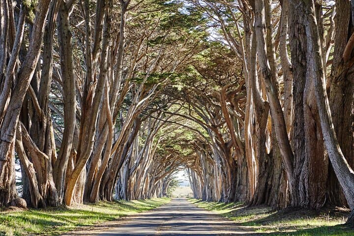 Self-Guided Driving Audio Tour of Point Reyes National Seashore photo 4