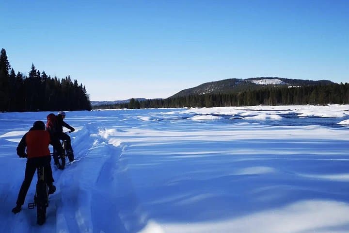 Fat-Biking Along the Vindelälven: 9 km Fatbike Experience in Sorsele photo 2