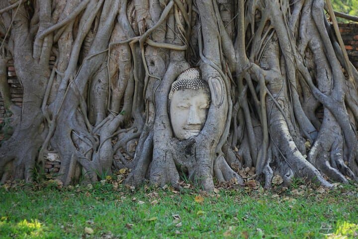 Half-Day Ayutthaya Tour: Temples, Floating Market & ATV Adventure photo 2