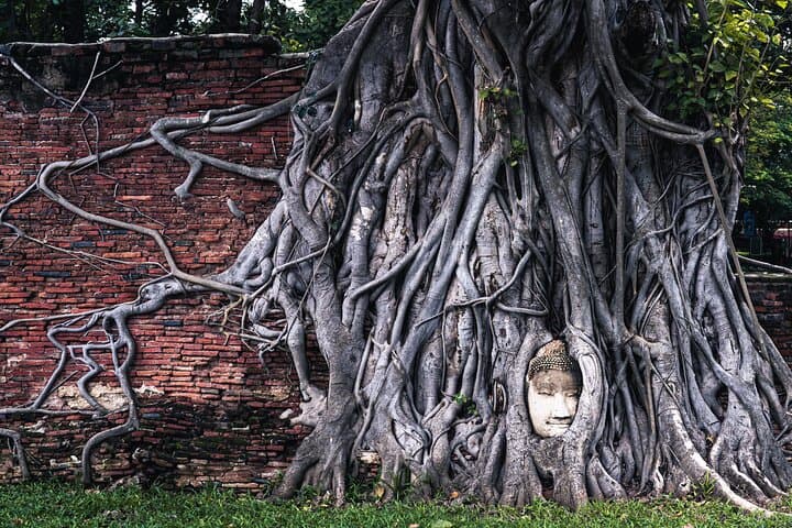 Half-Day Ayutthaya: Temples, Floating Market & ATV Adventure