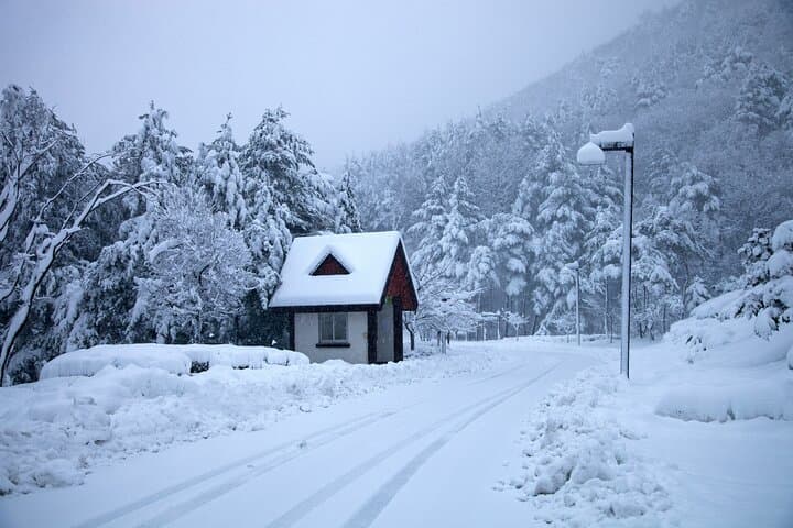 Gangwon Day Trip: Cheongtae Mountain Trek & Hoengseong KBBQ with Private Guide photo 2