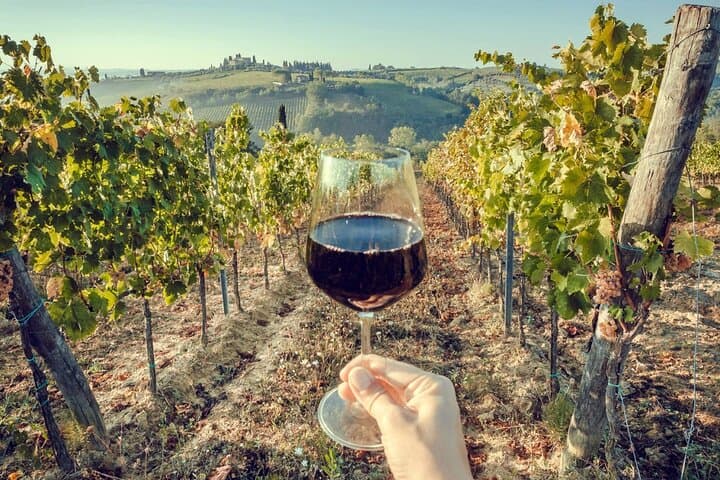 Arrábida Wine Trail from Lisbon: Coastal Vines, Cheese & Scenic Cliffs