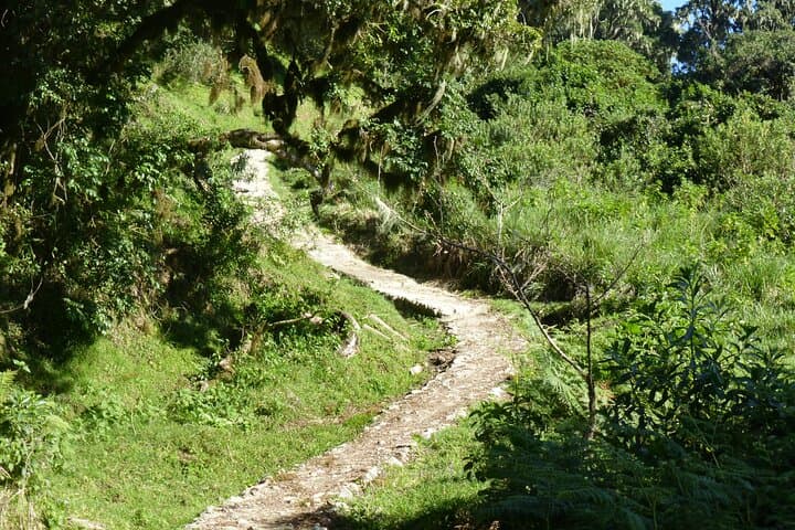 Mount Meru 2-Day Private Camping Tour from Arusha — Hike to Waterfall, Zipline & Cultural Stops photo 5