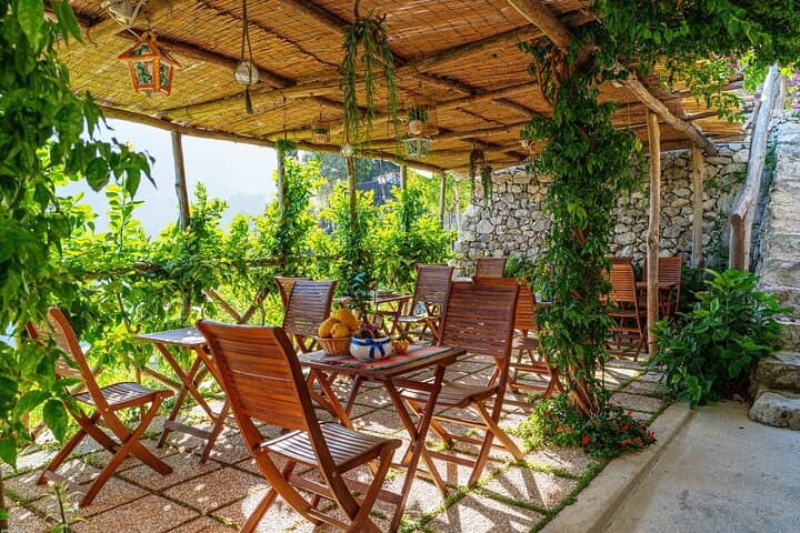 Amalfi Coast Lemon Grove Tour with Tasting in Pontone photo 2