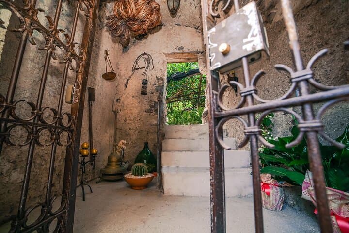 Amalfi Coast Lemon Grove Tour with Tasting in Pontone photo 5