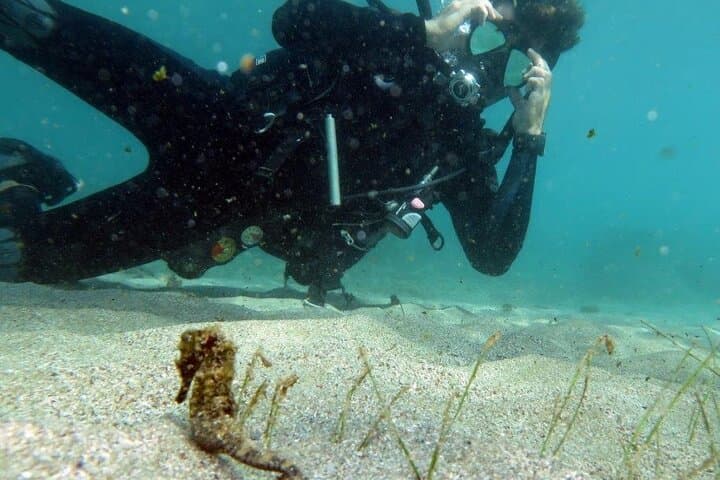 Discover Scuba Diving at Escambrón Marine Park — Beginner-Friendly San Juan Dive photo 2