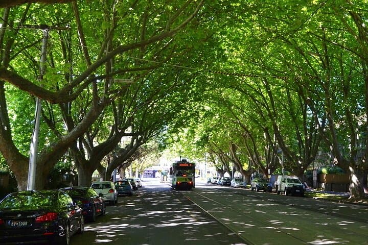 St Kilda Super Tour: Melbourne’s Bayside Walk, Laneways & Pier Penguins photo 3
