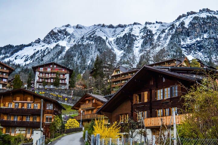 Zurich to Interlaken and Lauterbrunnen Valley: Private Day Tour Guide photo 3