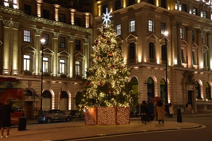 London Christmas Lights Private Walking Tour: Festive Lights & Historic Landmarks photo 3