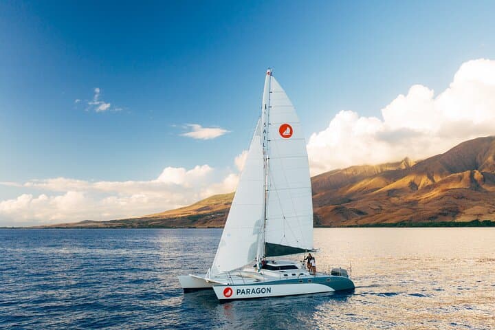 Midmorning Whale Watch from Lahaina Harbor — Maui Humpback Sailing Experience photo 6