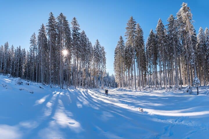 Snowshoeing Mount Etna: Guided Winter Hike and Lava-Tunnel Exploration photo 3