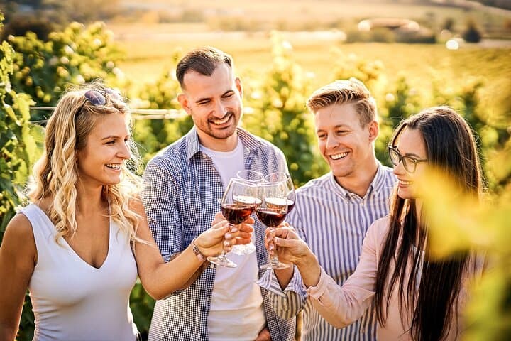 Wines and Views: Private Otago Wine Tour from Queenstown photo 4