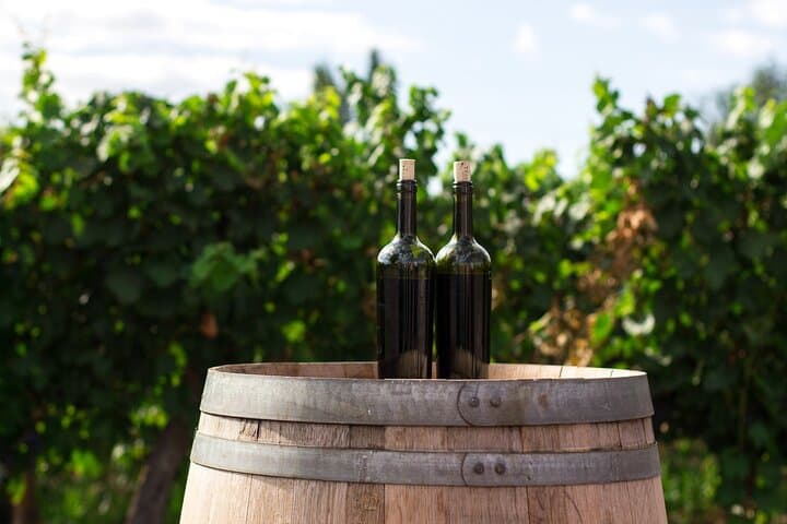 Wines and Views: Private Otago Wine Tour from Queenstown photo 5