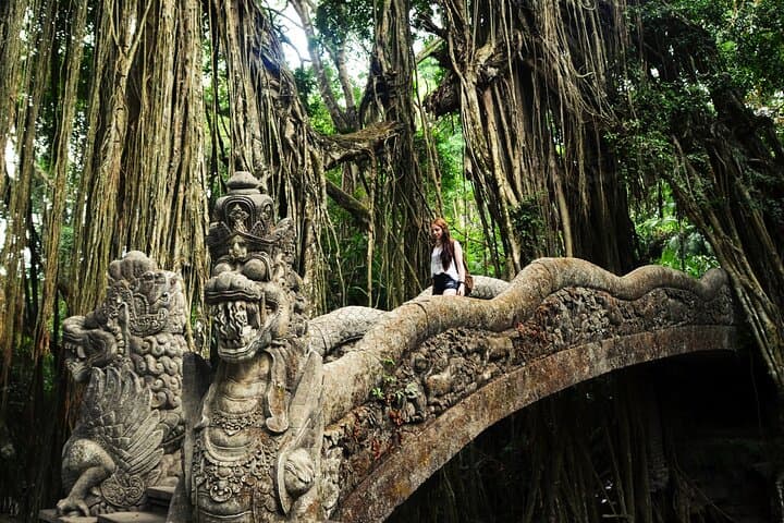 Full-Day Private Ubud Tour: Monkey Forest, Rice Terraces & Holy Springs photo 5