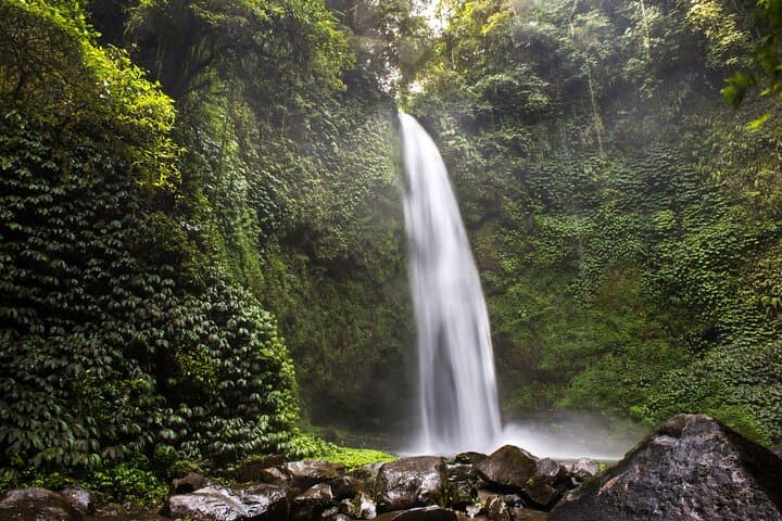 Full-Day Private Ubud Tour: Monkey Forest, Rice Terraces & Holy Springs photo 6
