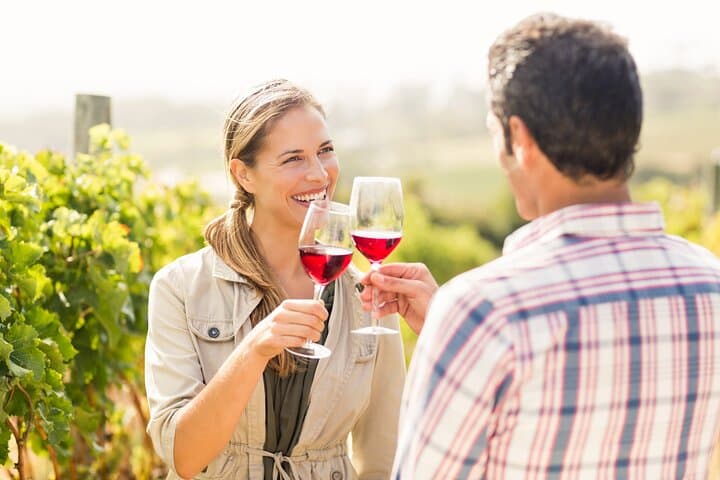 Private Cape Winelands Tour from Cape Town — Stellenbosch, Franschhoek & Paarl photo 4