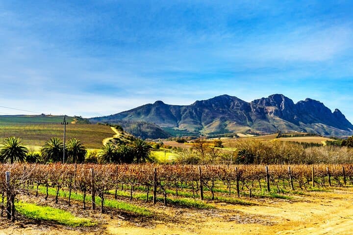 Private Cape Winelands Tour from Cape Town — Stellenbosch, Franschhoek & Paarl photo 1