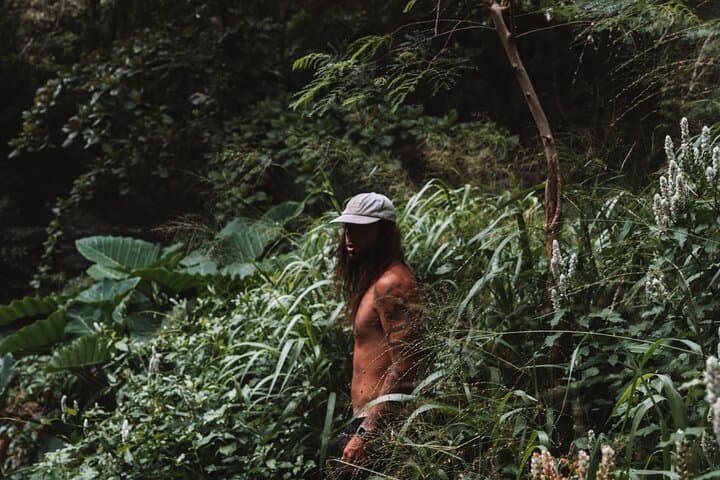 Private Road to Hana Tour with Pro Photography — Skip the Crowds and See the Real Jungle