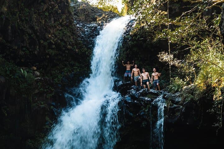 Private Road to Hana Tour with Pro Photography — Skip the Crowds and See the Real Jungle photo 3