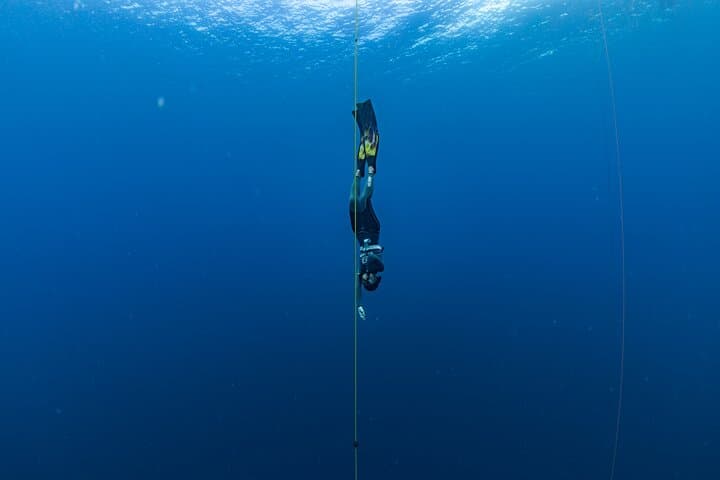 Beginner Freediving Course in Panglao: 2.5-Day AIDA, SSI & Molchanovs Training to 20m photo 2