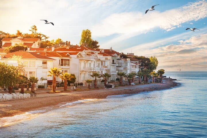 Private Full-Day Princes' Islands Tour from Istanbul — Büyükada Highlights photo 2