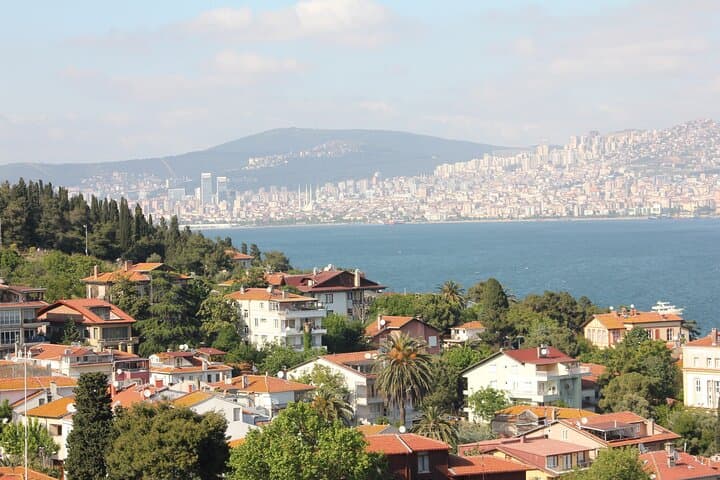 Private Full-Day Princes' Islands Tour from Istanbul — Büyükada Highlights photo 6