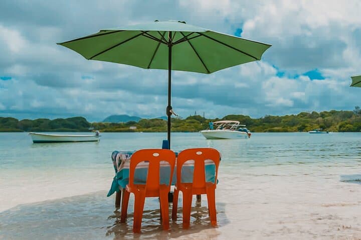 Speedboat to Ile aux Cerfs with GRSE Waterfall, BBQ Lunch & Open Bar photo 6