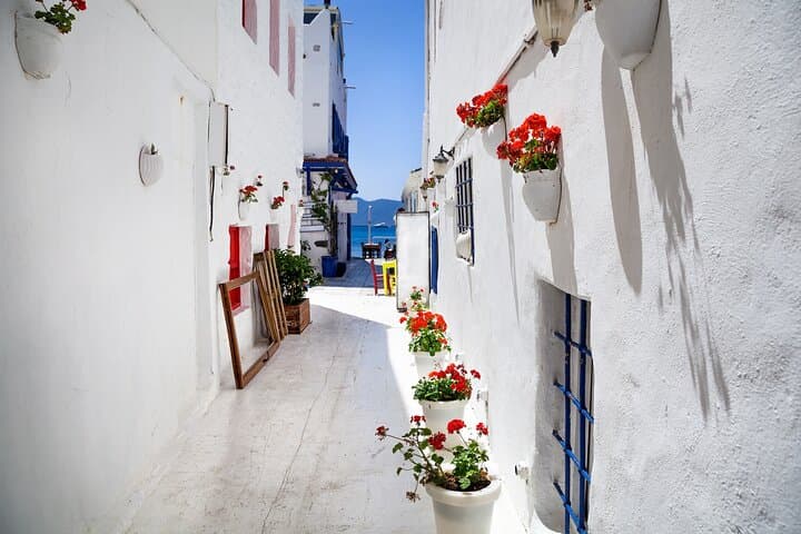 Private Full-Day Bodrum Tour: Castle, Museum & Ancient Halicarnassus photo 2