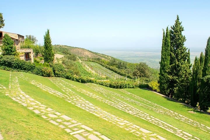 Private Mtskheta Wine Tour from Tbilisi — Chateau Mukhrani & Iago's Winery Day Trip