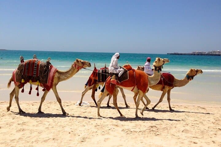 Private Dubai City Tour: Souks, Marina & Modern Landmarks photo 6