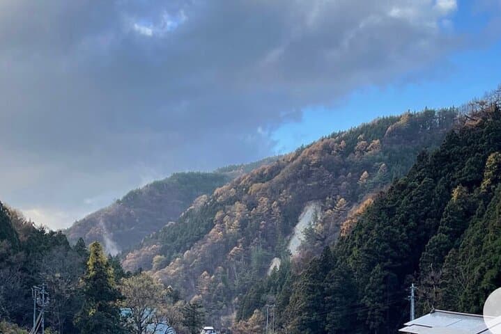 Nagano Snow Monkeys & Zenko-ji: A Day Tour from Tokyo or Nagano photo 6