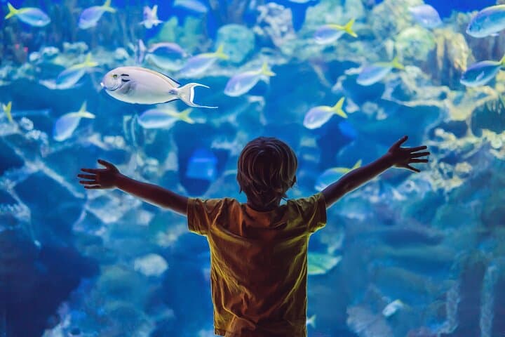 Private Cebu Ocean Park Tour: Full-Day Private Excursion in Cebu City
