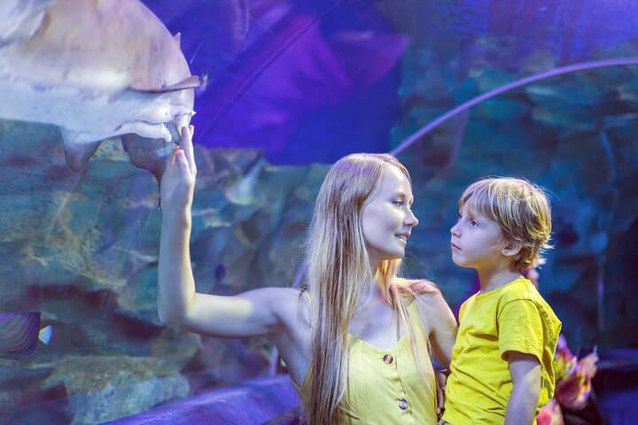 Private Cebu Ocean Park Tour: Full-Day Private Excursion in Cebu City photo 6