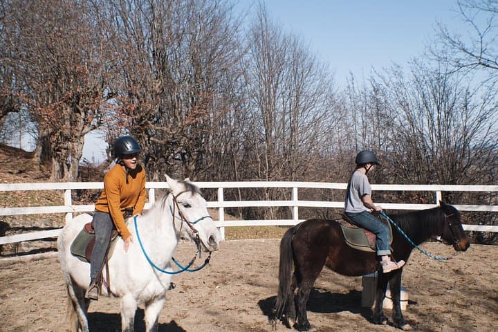 Horse Trek to Isti Su Hot Springs — Lankaran Forest Ride and Soak photo 3