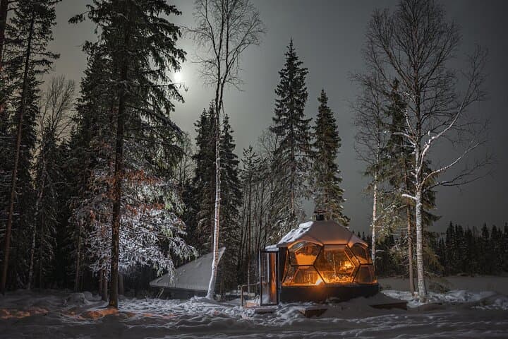 Northern Lights Dinner & Aurora Hunt near Rovaniemi: Glass-Igloo Experience photo 2