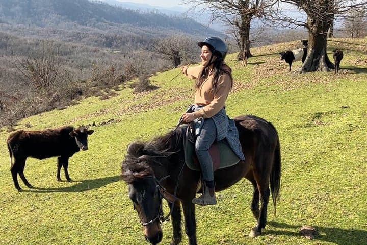 Horse Trek to Isti Su Hot Springs — Lankaran Forest Ride and Soak photo 1